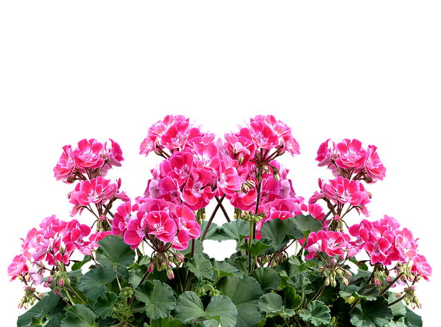 Gartenideen für balkon und terrasse: Grünes wohnen in der stadt