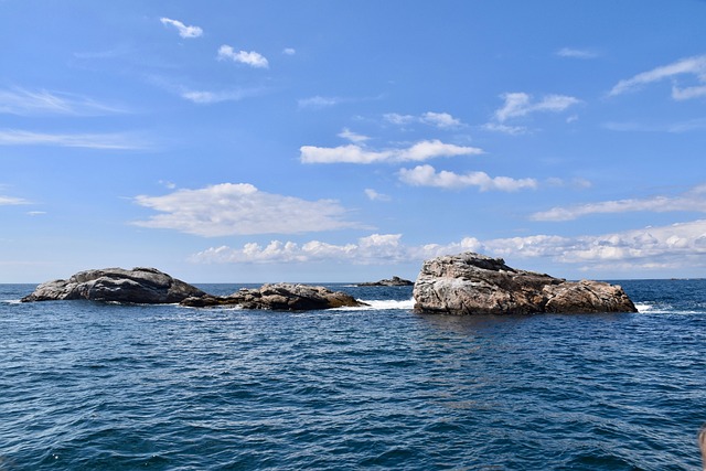 Fem faldgruber du skal undgå, når du vælger ai-partner