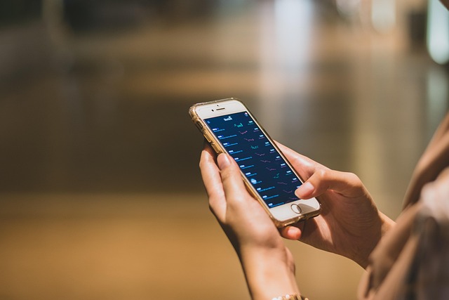 Risici og gevinster: Investering i b2b saas i et dansk perspektiv