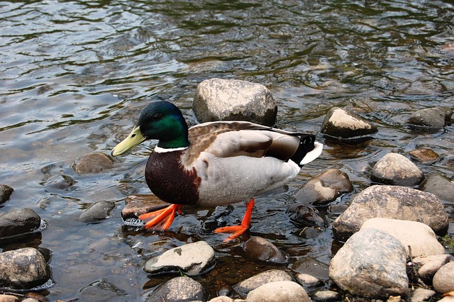 Sådan knækker du koden: Tips til at løse svære krydsord